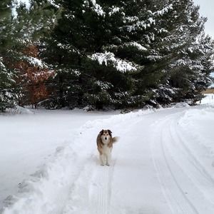 Meet your Posher, Mary